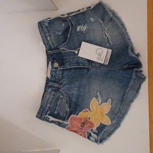 Zara Highwaisted Denim Shorts